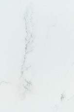 SM1015-1 SM1015-1