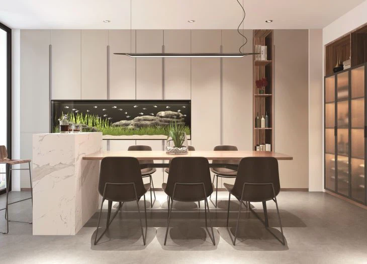 Luxury Lacquer Kitchen Cabinets