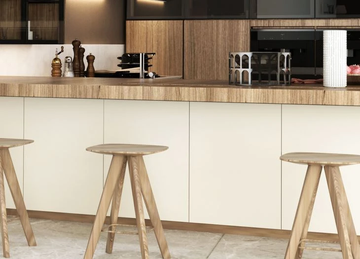 Modern Minimalist House Kitchen