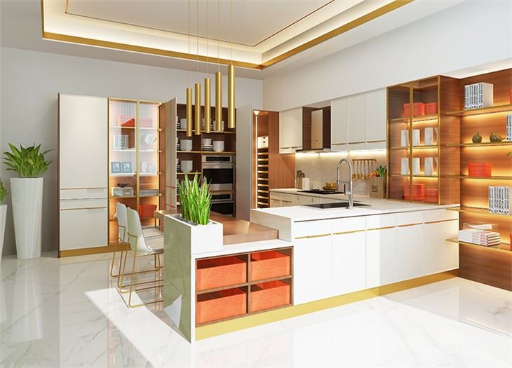 Gabinetes de cocina de PVC contemporáneos