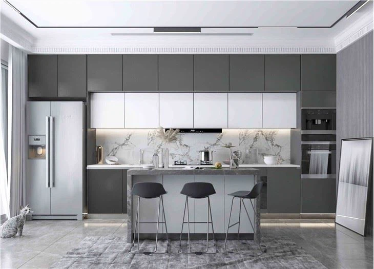 Gabinete de cocina sin marco PET