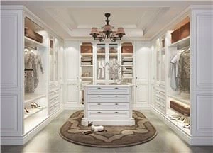 Lujoso caminata en vestíbulo